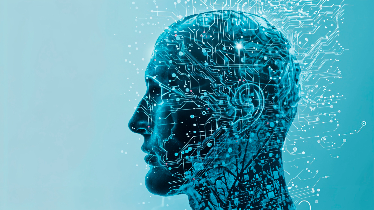 KI in der Finanzbranche - Wolkenbunker